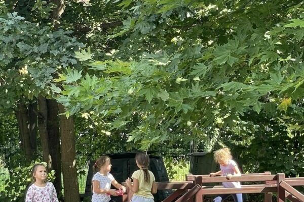 305040310_520136613250400_3653815458325484259_n