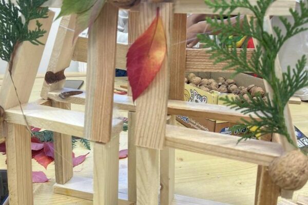 311574060_551478280116233_4064159643801764201_n