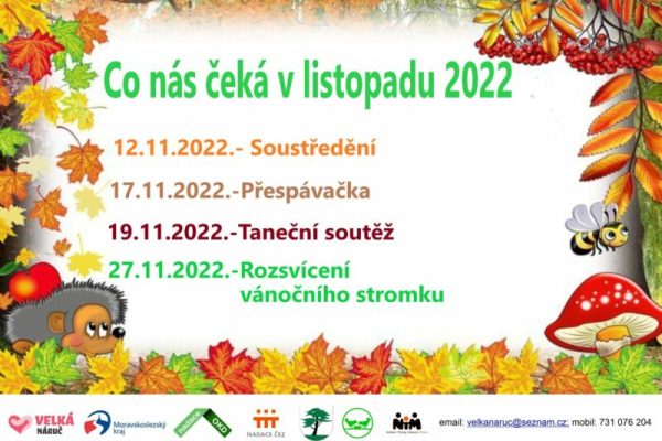 312240155_560365919227469_7033568107927627931_n