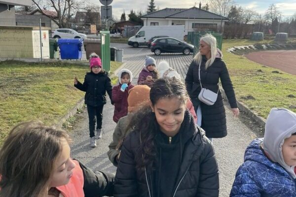 323412922_906231003882762_5809571747262112795_n-scaled