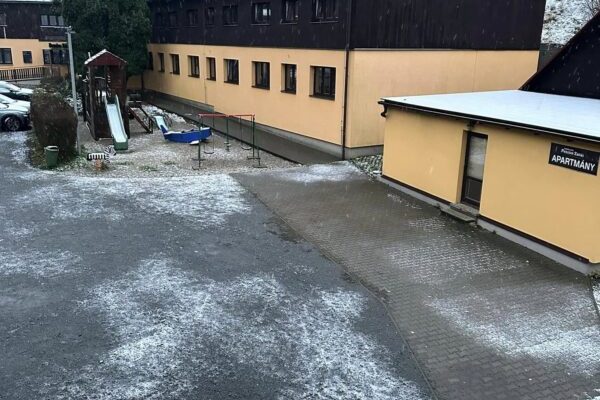 402172902_787924426471616_7795537342197407225_n-scaled