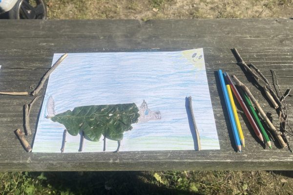 460822251_966116885319035_4339902868475608_n