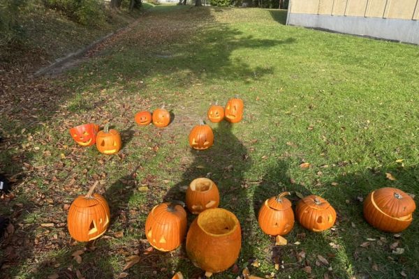 464310137_989945172936206_2321481588117386753_n