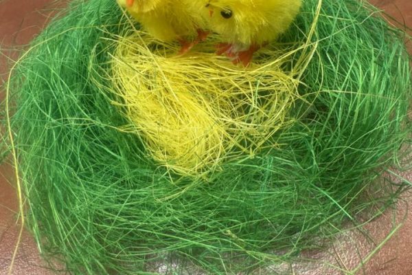 490382295_1111627387434650_2106788885066743731_n