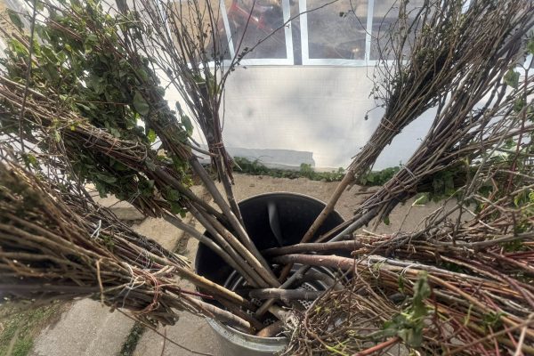 493266004_1119229540007768_3451808423585906203_n