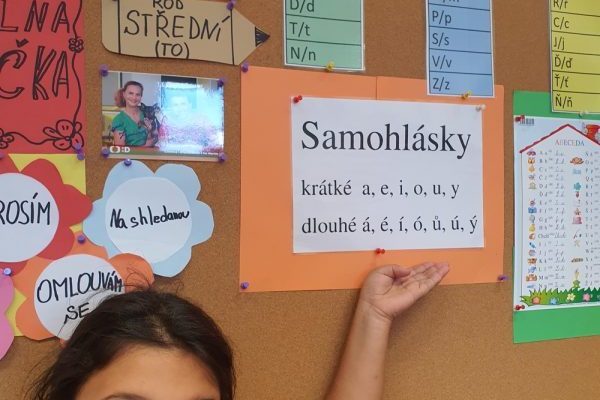 Webp.net-resizeimage-31