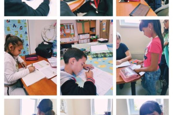 Webp.net-resizeimage-63